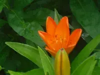 21.06.2010 001.webp