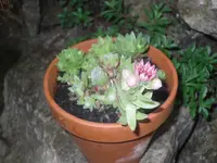 21.06.2010 003.webp