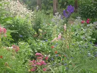 21.06.2010 021.webp