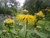 21.06.2010 022.webp