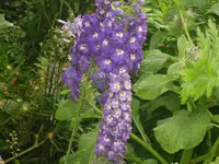 21.06.2010 023.webp