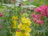 21.06.2010 024.webp