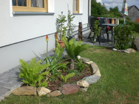 CIMG1036.webp