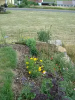 Hangbeet 1    18 Juni 08.webp