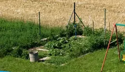 gemuesegarten.webp
