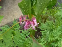 P1050103.webp