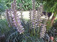 100_3572-02.webp