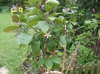 resized_01010144.webp
