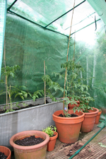 IMG_7312.webp