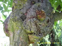 Test 563.webp