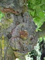 Test 564.webp