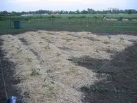 170_7085.webp