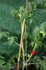 IMG_7330 Kopie.webp