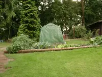 DSCN1577.webp