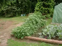 DSCN1578.webp