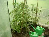 DSCN1581.webp