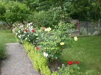 Garten 06-2 015.webp