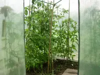DSCN1595.webp