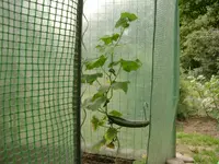 DSCN1594.webp