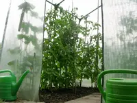 DSCN1599.webp