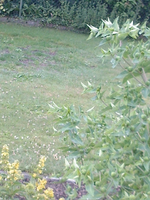 Foto0350.webp