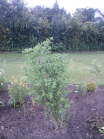 Foto0348.webp