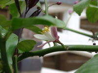 resized_01010162.webp