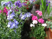 IMG_0101June.webp