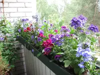 IMG_0103June.webp