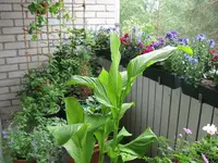 IMG_0104June.webp