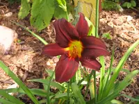 002.webp