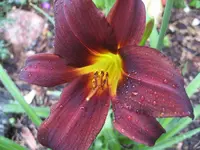 008.webp