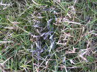 Kopie von PICT0002.webp