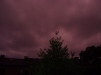 resized_01010163.webp