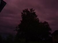 resized_01010165.webp