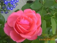 PICT0003.webp