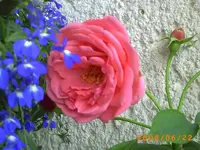PICT0002.webp
