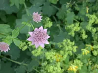 DSCN4381.webp