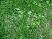 Bilder Camera 067.webp