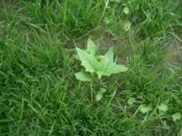 Bilder Camera 068.webp