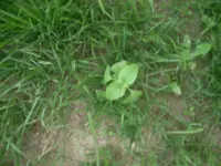 Bilder Camera 070.webp