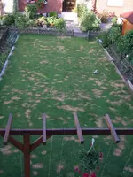 DSCF0377.webp