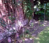Lilie I.webp