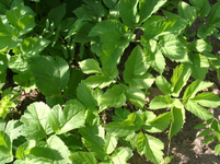 resized_01010170.webp