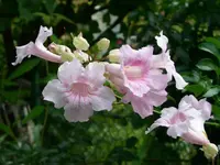 PICT0014.webp