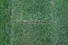 Garten_03.webp