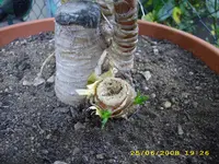 Test 569.webp