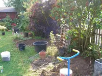 Rhodo-Baustelle.webp