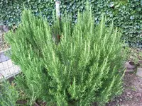 100_0088_800x600.webp