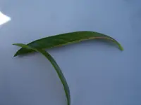 DSC03590.webp